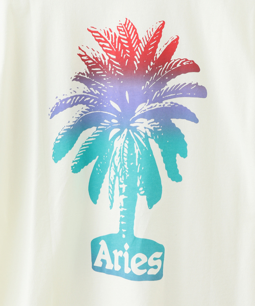 新品未使用 Aries Tシャツ Sサイズ ARIES tシャツ 「ARIES / アリーズ」PALM SS TEE メンズ