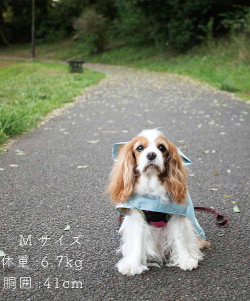 392 plus m 犬 服 : ZOZOTOWN Yahoo!店 - 通販 - Yahoo!ショッピング