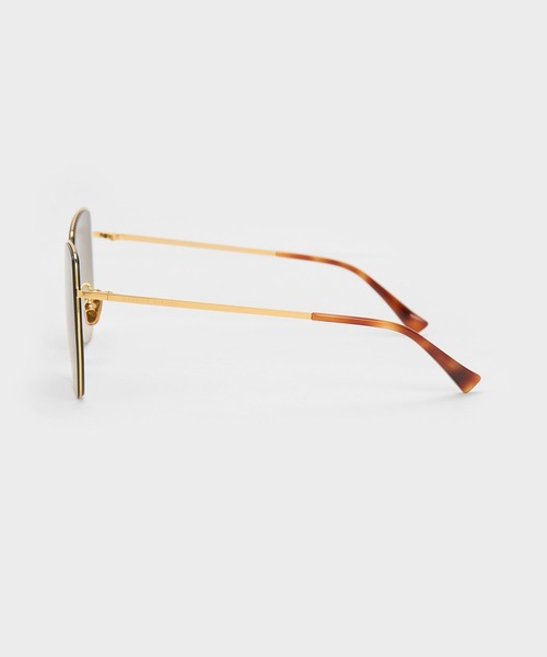 CHARLES ＆ KEITH サングラス リサイクルアセテート バタフライ