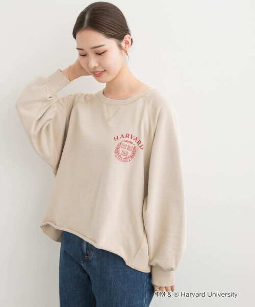 tシャツ 「一部別注カラー」GOOD ROCK SPEED　HARVARD UNIVERSITY レディース GOOD ROCK SPEED tシャツ 「一部別注カラー」GOOD SPEED HARVARD