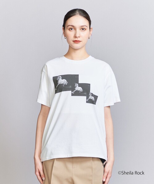 新作★STONE *特別な魅力*Archivioプリント Tシャツ BEAUTY＆YOUTH UNITED ARROWS tシャツ 「別注」「Sheila Rock