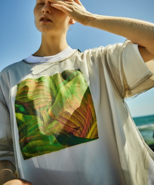 「AULA AILA」 半袖Tシャツ 0 オフホワイト レディース_画像7