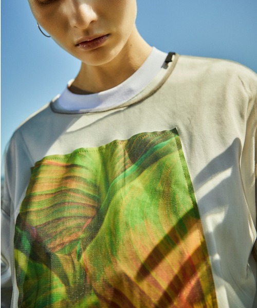 「AULA AILA」 半袖Tシャツ 0 オフホワイト レディース_画像8