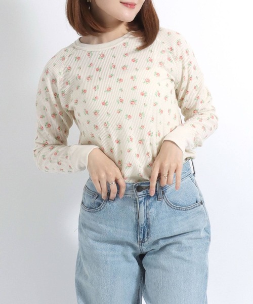 売れ筋商品|||モーガンレーン Tシャツ レディース トップス Print T-shirt - ecru VENCE EXCHANGE tシャツ MADISONリンガーT レディース