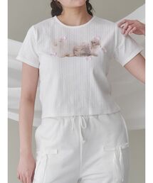 tシャツ ラビットribbon Tシャツ レディース｜ZOZOTOWN Yahoo!店