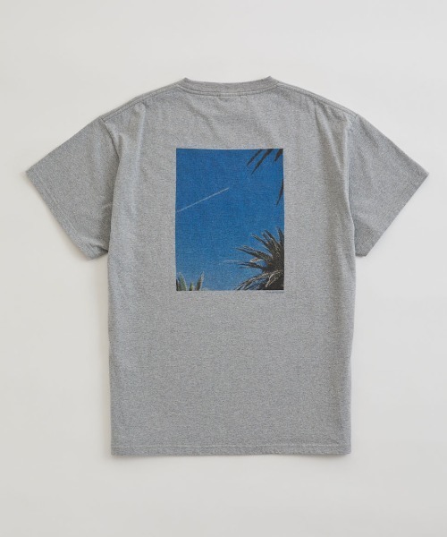 THE SHINZONE tシャツ SHINZONE/シンゾーン プールサイドTEE