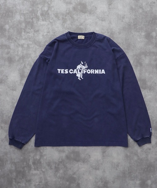 The Endless Summer（エンドレスサマー） tシャツ TES CALIFORNIA LOGO