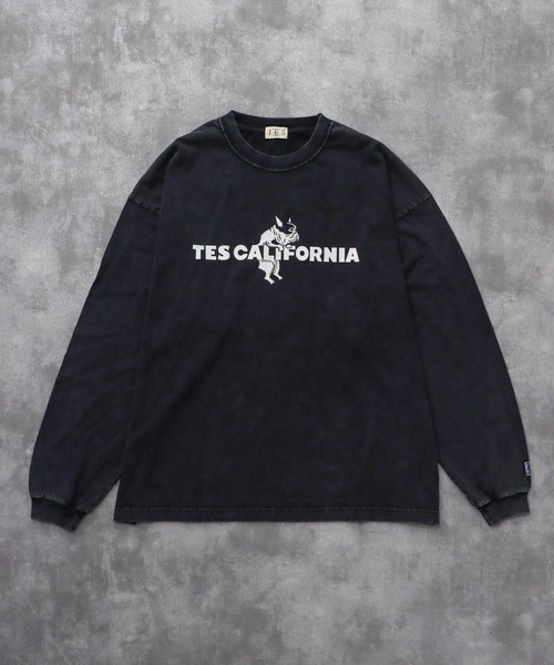 The Endless Summer（エンドレスサマー） tシャツ TES CALIFORNIA LOGO