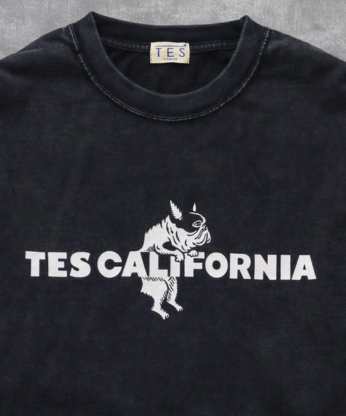 The Endless Summer（エンドレスサマー） tシャツ TES CALIFORNIA LOGO