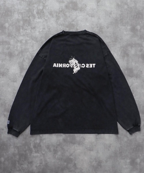 The Endless Summer（エンドレスサマー） tシャツ TES CALIFORNIA LOGO