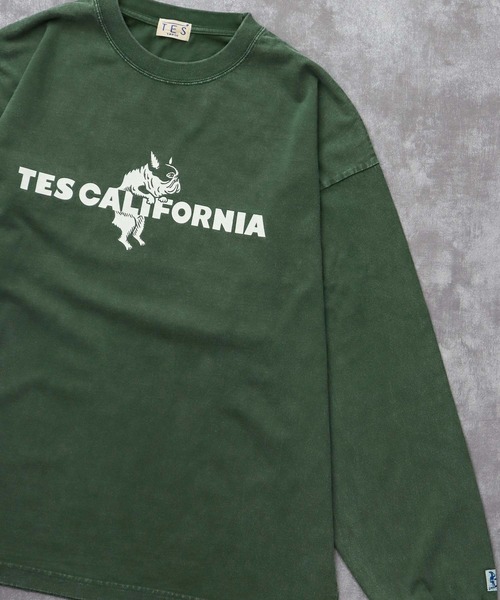 The Endless Summer（エンドレスサマー） tシャツ TES CALIFORNIA LOGO 