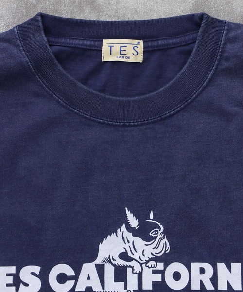 The Endless Summer（エンドレスサマー） tシャツ TES CALIFORNIA LOGO 