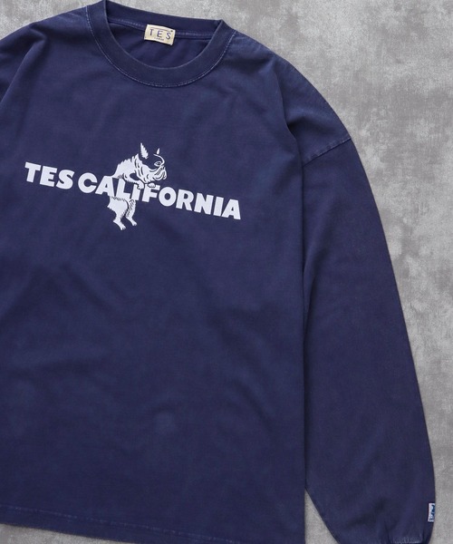 The Endless Summer（エンドレスサマー） tシャツ TES CALIFORNIA LOGO