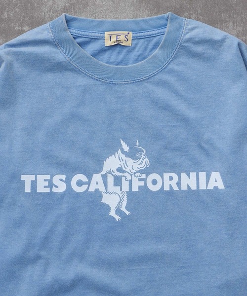 The Endless Summer（エンドレスサマー） tシャツ TES CALIFORNIA LOGO