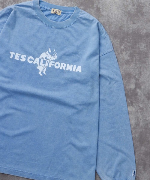 The Endless Summer（エンドレスサマー） tシャツ TES CALIFORNIA LOGO