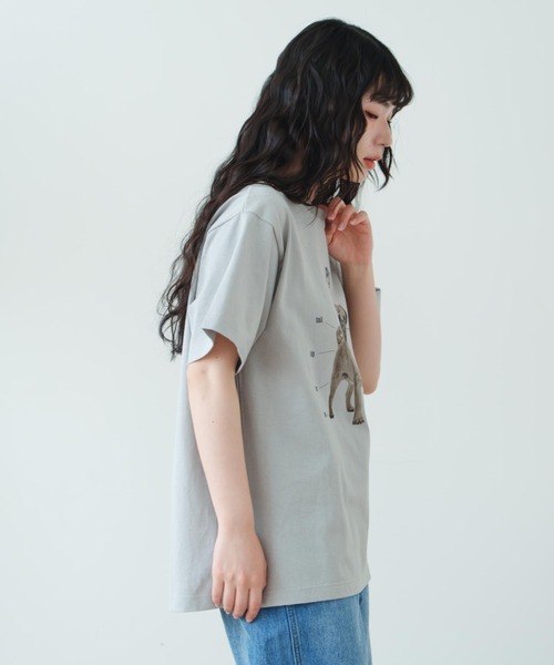 「eLur」 半袖Tシャツ FREE ライトブルー レディース_画像2