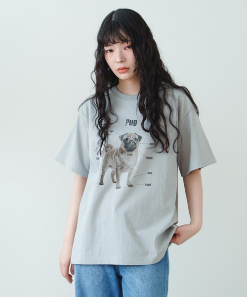 「eLur」 半袖Tシャツ FREE ライトブルー レディース_画像3