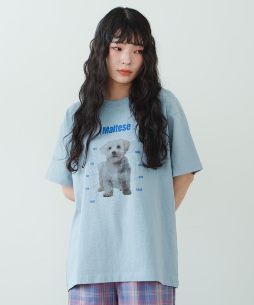 「eLur」 半袖Tシャツ FREE ライトブルー レディース_画像8