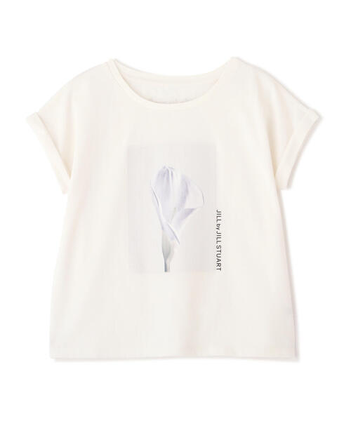 「JILL by JILL STUART」 半袖カットソー FREE ホワイト レディース_画像4