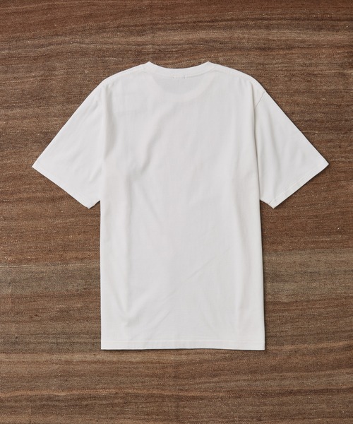 「WILD LIFE TAILOR Adam et Rope'」 半袖Tシャツ M オリーブ メンズ_画像5