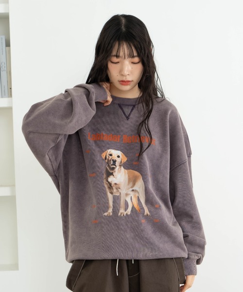 【美品】elu. エル　ブルックリントップス　グレー　スウェット　Sサイズ 美品】elu. エル ブルックリントップス グレー スウェット Sサイズ