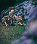 甚平 浴衣 「すっぽり着られる」BOYS浴衣_...の詳細画像5