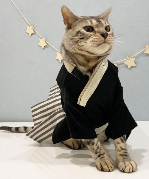 ONEKOSAMA OINUSAMA（おねこさま・おいぬさま） 犬 服 袴風ペット