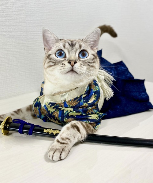 ONEKOSAMA OINUSAMA（おねこさま・おいぬさま） 犬 服 袴風ペット