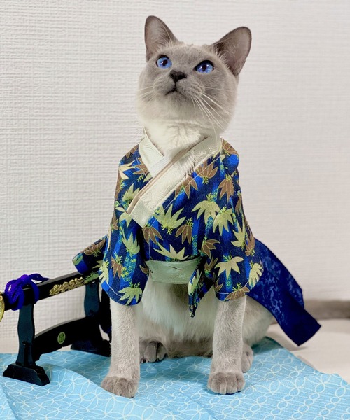 ONEKOSAMA OINUSAMA（おねこさま・おいぬさま） 犬 服 袴風ペット