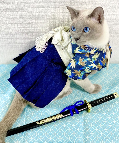 ONEKOSAMA OINUSAMA（おねこさま・おいぬさま） 犬 服 袴風ペット