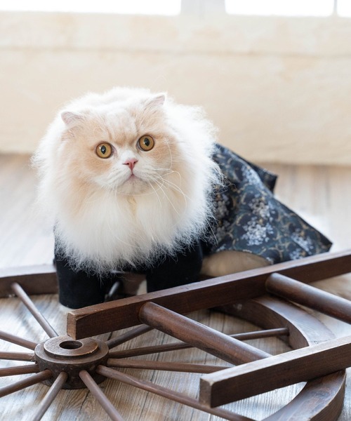 ONEKOSAMA OINUSAMA（おねこさま・おいぬさま） 犬 服 袴風ペット