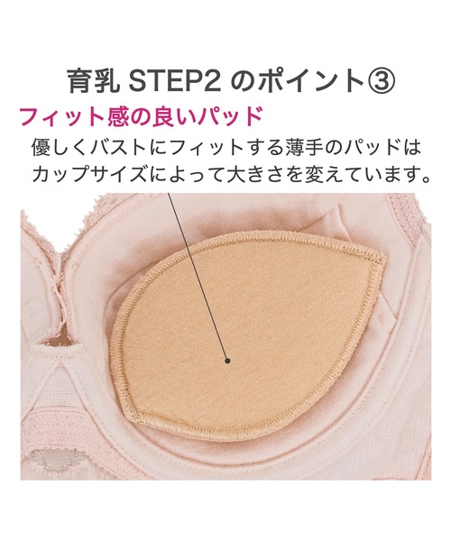 BRADELIS NewYork ブラジャー ベルステップ2ブラ24A2 ブラデリス