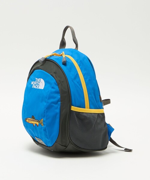 THE NORTH FACE（ザ ノースフェイス） ノースフェイス リュック 「THE