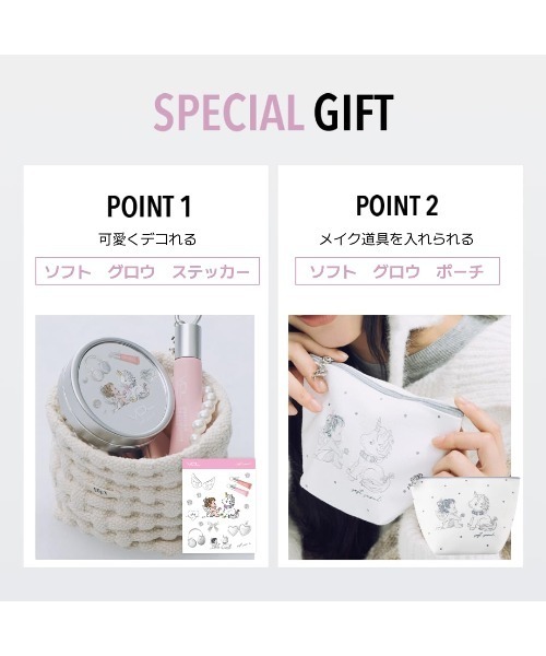 VDL ファンデーション ブイディーエル 「企画セット」VDL カバー