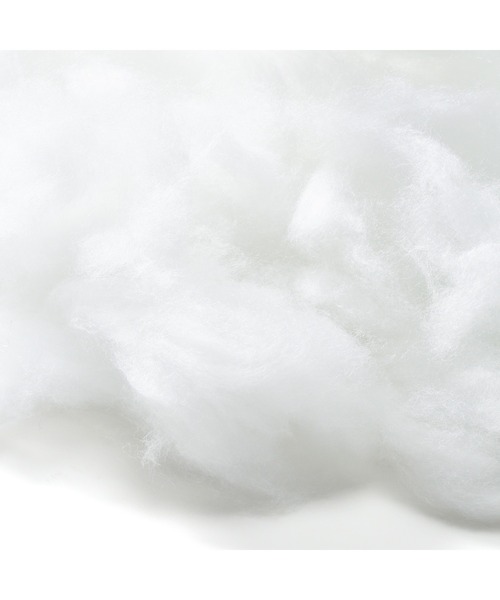 Francfranc（フランフラン） クッション クッションカバー もっちり