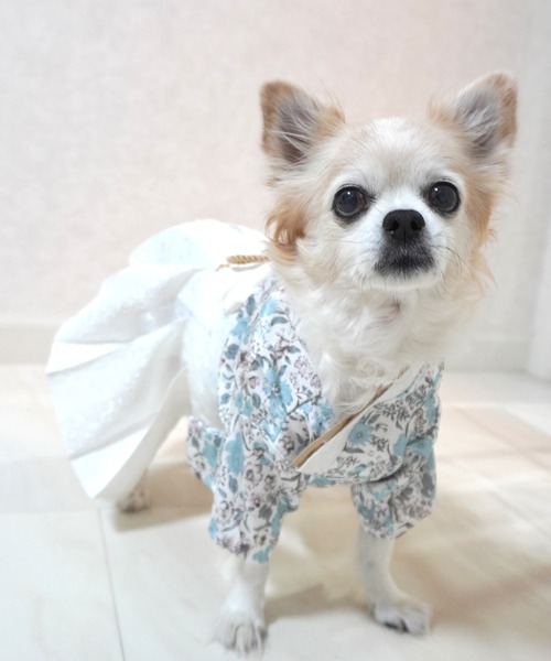 ONEKOSAMA OINUSAMA（おねこさま・おいぬさま） 犬 服 袴風ペット