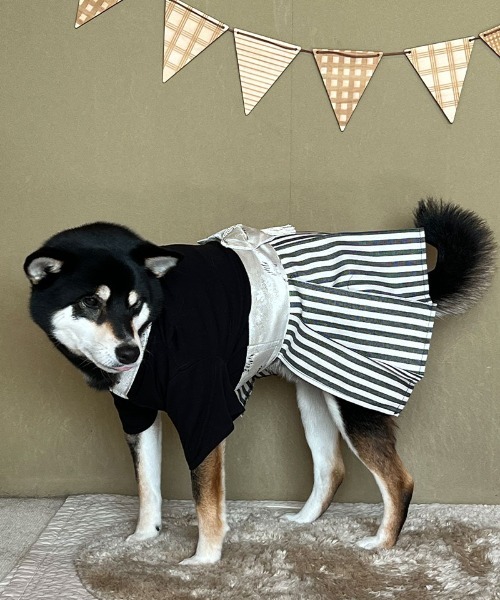 ONEKOSAMA OINUSAMA（おねこさま・おいぬさま） 犬 服 袴風ペット