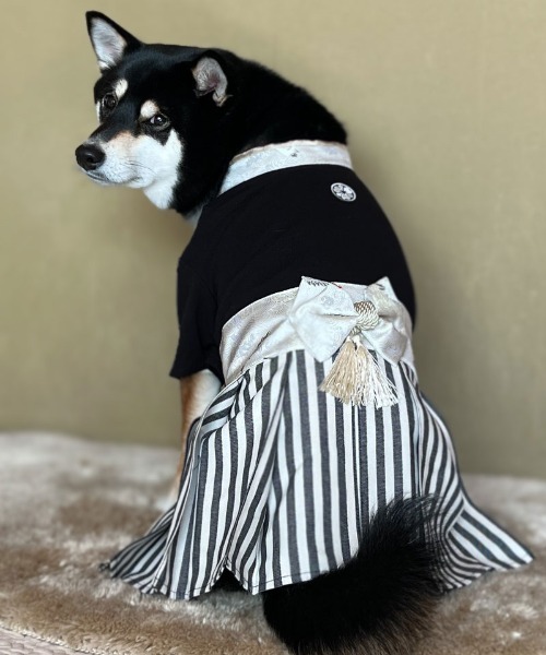 犬服 袴 ♡Y様♡即購入OKd(ゝω・´○) 犬服袴♡Y様♡即購入OKd(ゝω・´○)