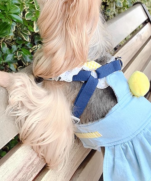 aimoha（アイモハ） 犬 ハーネス リード デニム風星柄 ハーネス