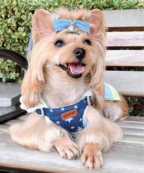 aimoha（アイモハ） 犬 ハーネス リード デニム風星柄 ハーネス