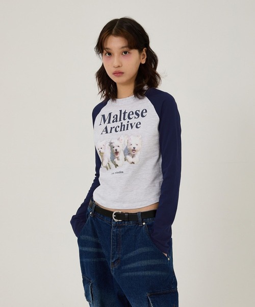【WAI KEI】★男女兼用★MLTS ラグラン スウェットシャツ WaiKei tシャツ 「UNISEX」Wai Kei／マルチーズラグランT メンズ