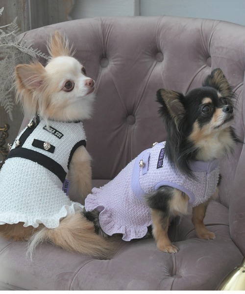 ANNA SUI（アナスイ） 犬 服 ANNA SUI/ツイード風ニットワンピース