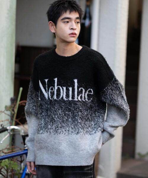 WEGO（ウィゴー） セーター ニット WEGO/「25年秋冬新作」ファジー