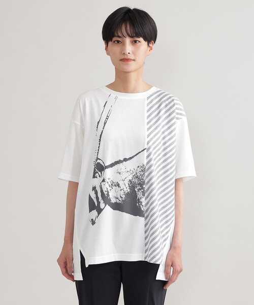 品質一番の Tシャツ Tシャツ L ウォッシャブル アラビアンオリックスｔシャツ 半袖 カラー ダークネイビー Audiology Speech Com