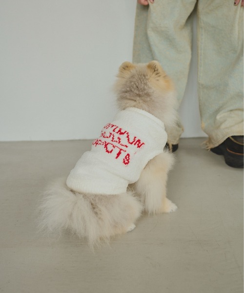 common gull products. 犬 服 ほたて色のcommon gull products. dog