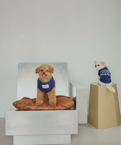 common gull products. 犬 服 ほたて色のcommon gull products. dog