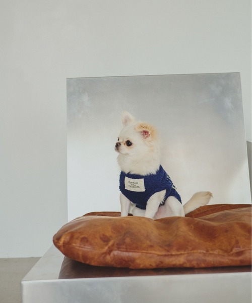 common gull products. 犬 服 ほたて色のcommon gull products. dog