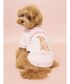 �� �� �uCAT��DOG�v���U���h�b�O���уv���I�[�o�[ �֘A�摜3