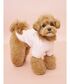 �� �� �uCAT��DOG�v���U���h�b�O���уv���I�[�o�[ �֘A�摜4