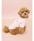 �� �� �uCAT��DOG�v���U���h�b�O���уv���I�[�o�[ �֘A�摜5